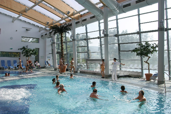 Fackelmann Therme Hersbruck in Hersbruck - Logo
