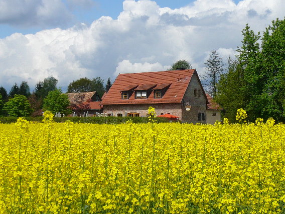 Gasthaus Obermühle in Offenbach am Main - Logo