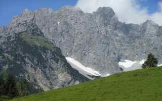 Seelenbaumler - das ALPINE Entspannungserlebnis in Tawern - Logo
