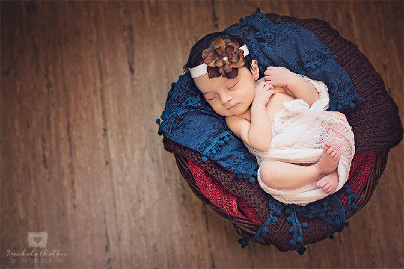 Michaela Rother Fotodesign in Bad Vilbel - Logo