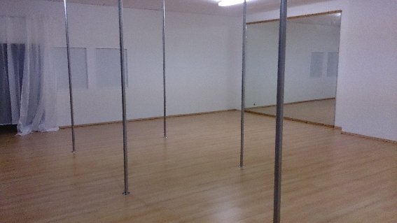 Dance & Pole Studio in Solingen - Logo