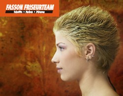 Fasson Friseurteam Hannover in Hannover - Logo