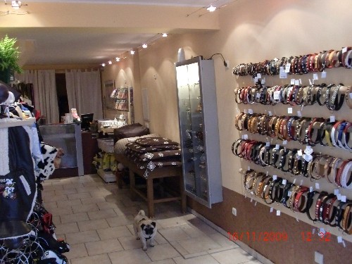 Dog Shop Bellus Cani in Hameln - Logo