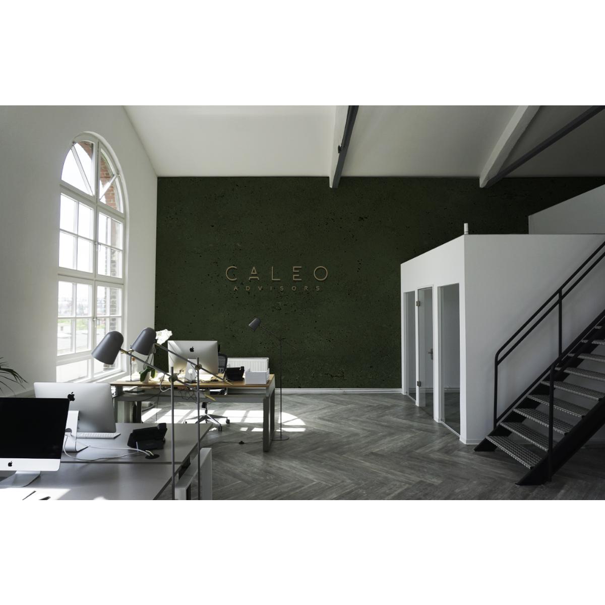 CALEO Advisors GmbH in Frankfurt am Main - Logo