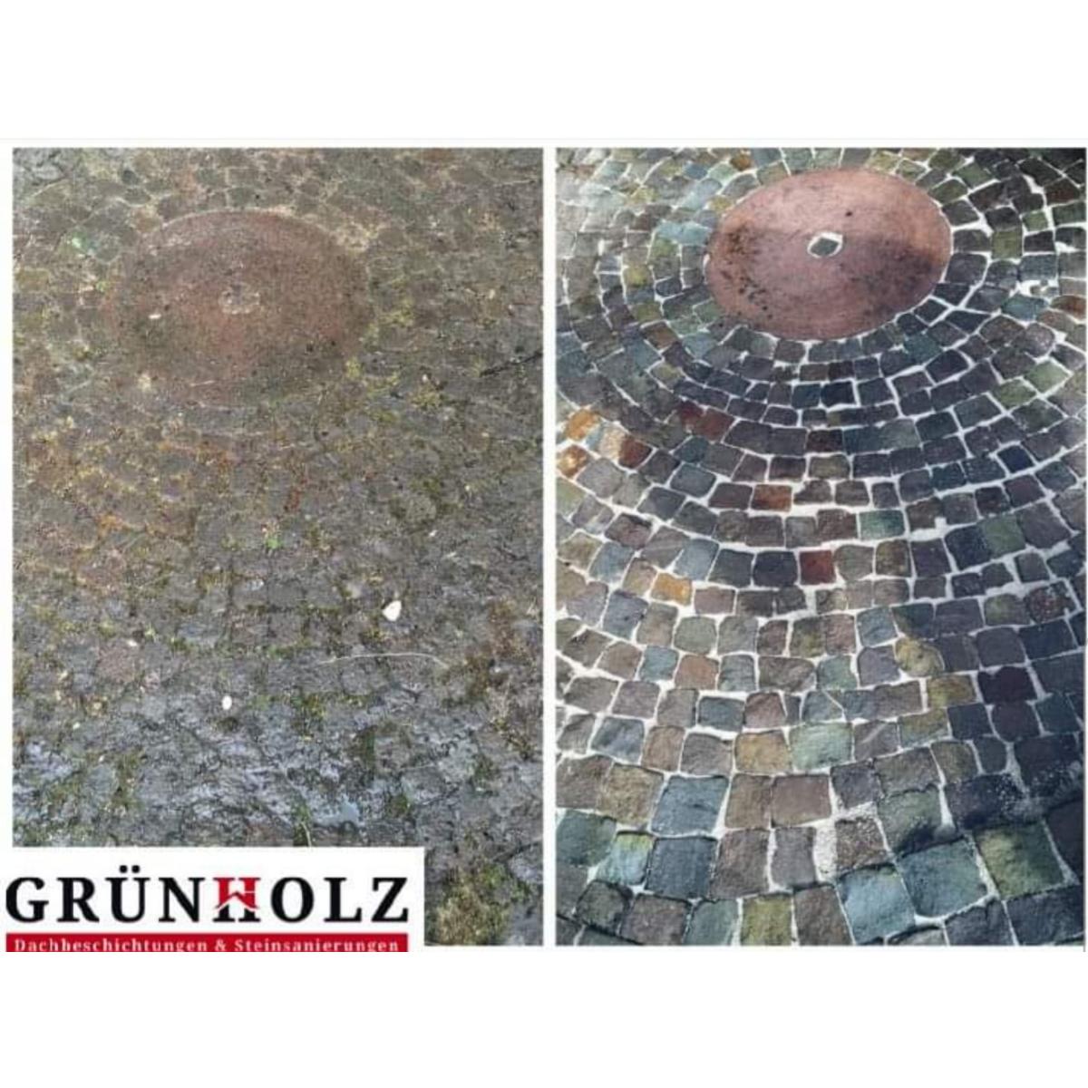 Grünholz Dachbeschichtung und Steinsanierung in Düsseldorf - Logo