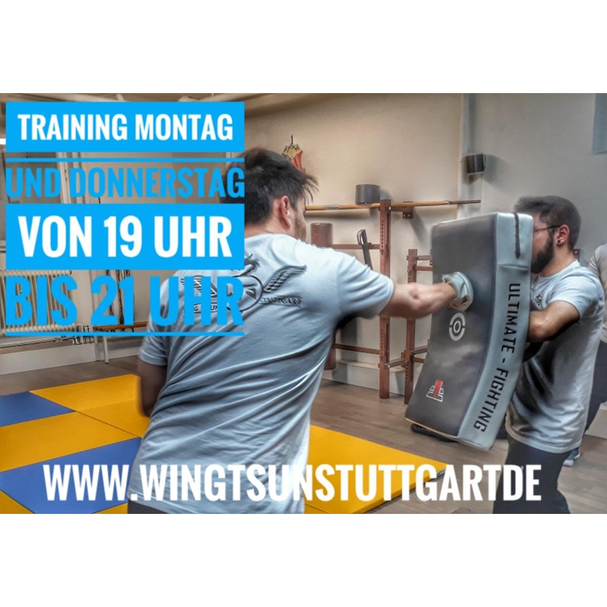 Wing Tsun Stuttgart Selbstverteidigung in Stuttgart - Logo