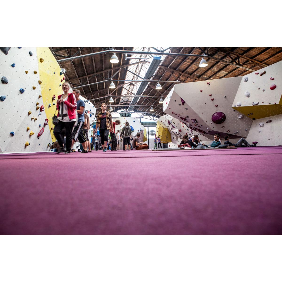 ein stein boulderhallen GmbH & Co. KG in Ulm an der Donau - Logo