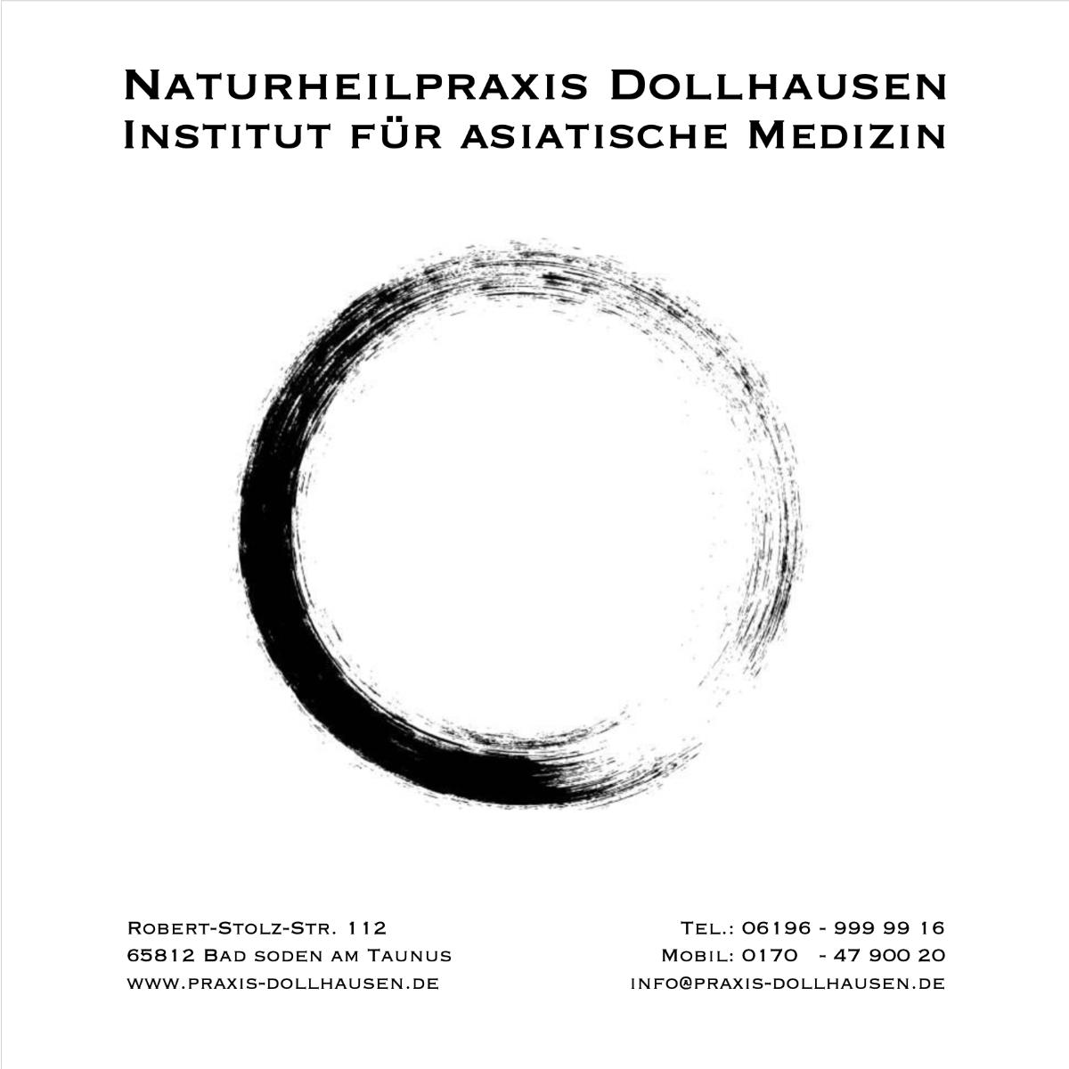 Naturheilpraxis Dollhausen - Institut für asiatische Medizin in Bad Soden am Taunus - Logo