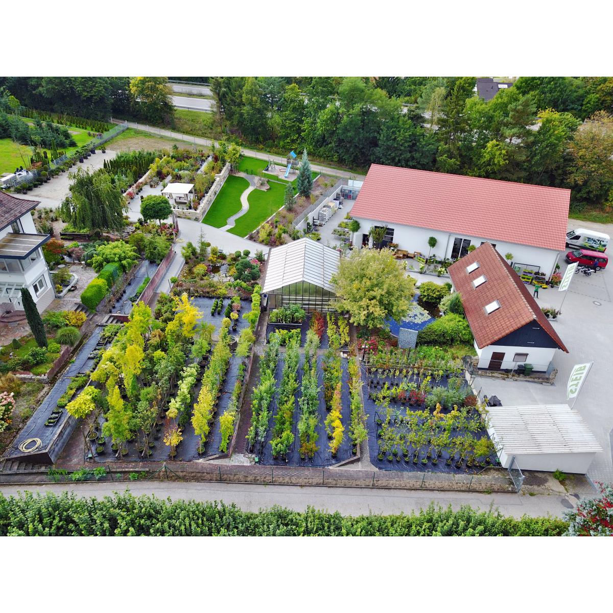 STEIB Garten - Technik - Baumschule in Roth in Mittelfranken - Logo