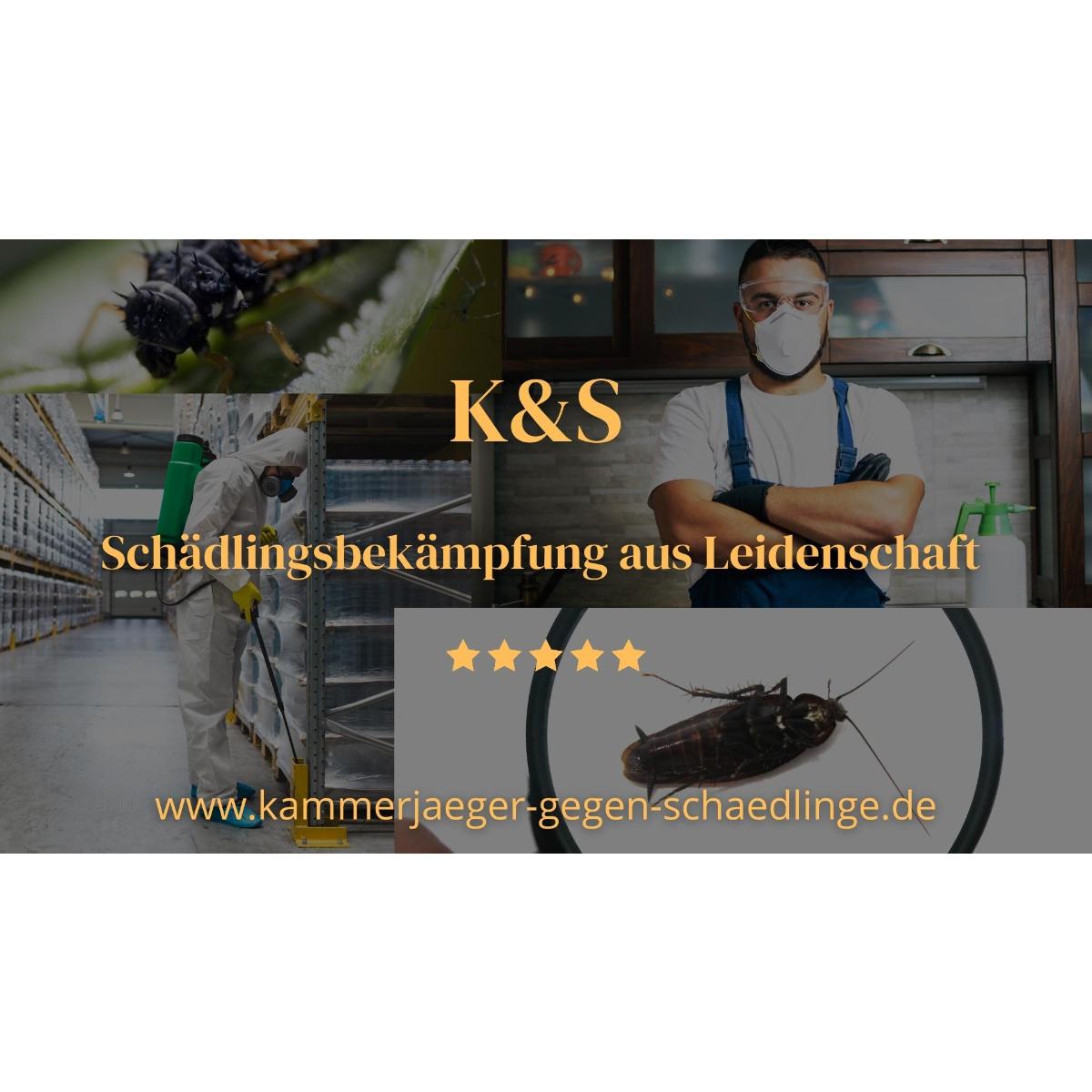 K&S Schädlingsbekämpfung in Mannheim - Logo