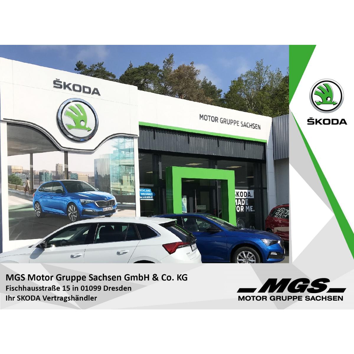 MGS Motor Gruppe Sachsen GmbH & Co. KG in Dresden - Logo