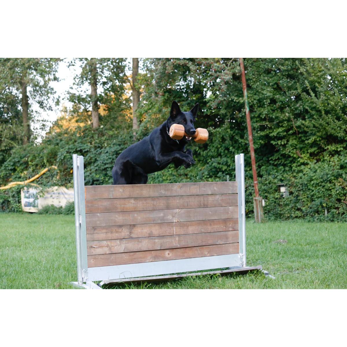 Tako Bello - Rund um den Hund in Essen - Logo