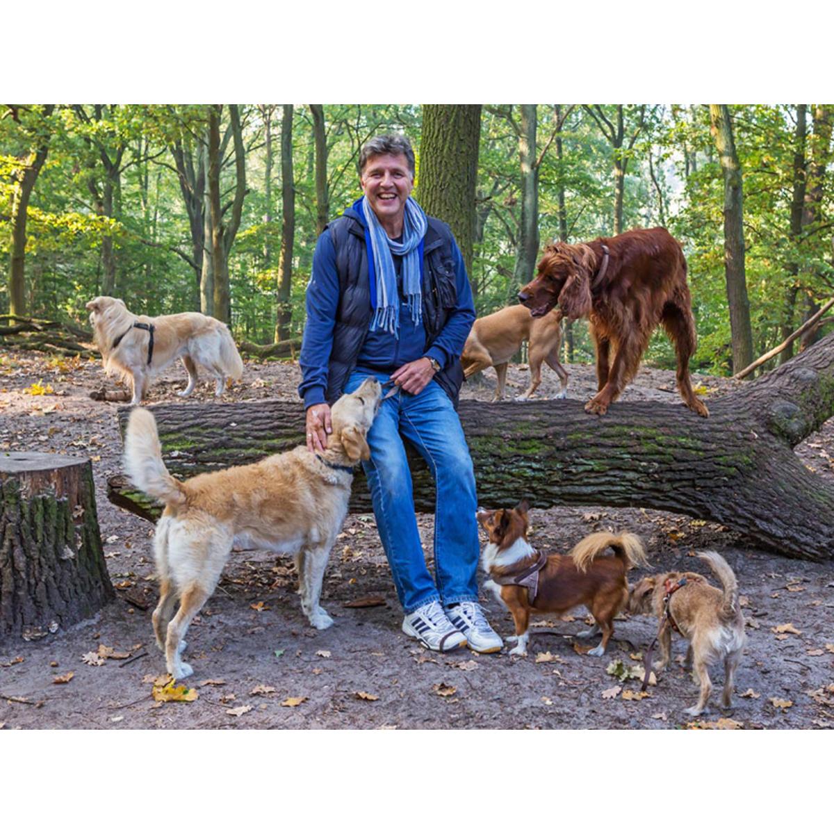 Hundetrainer Stefan Thal in Berlin - Logo