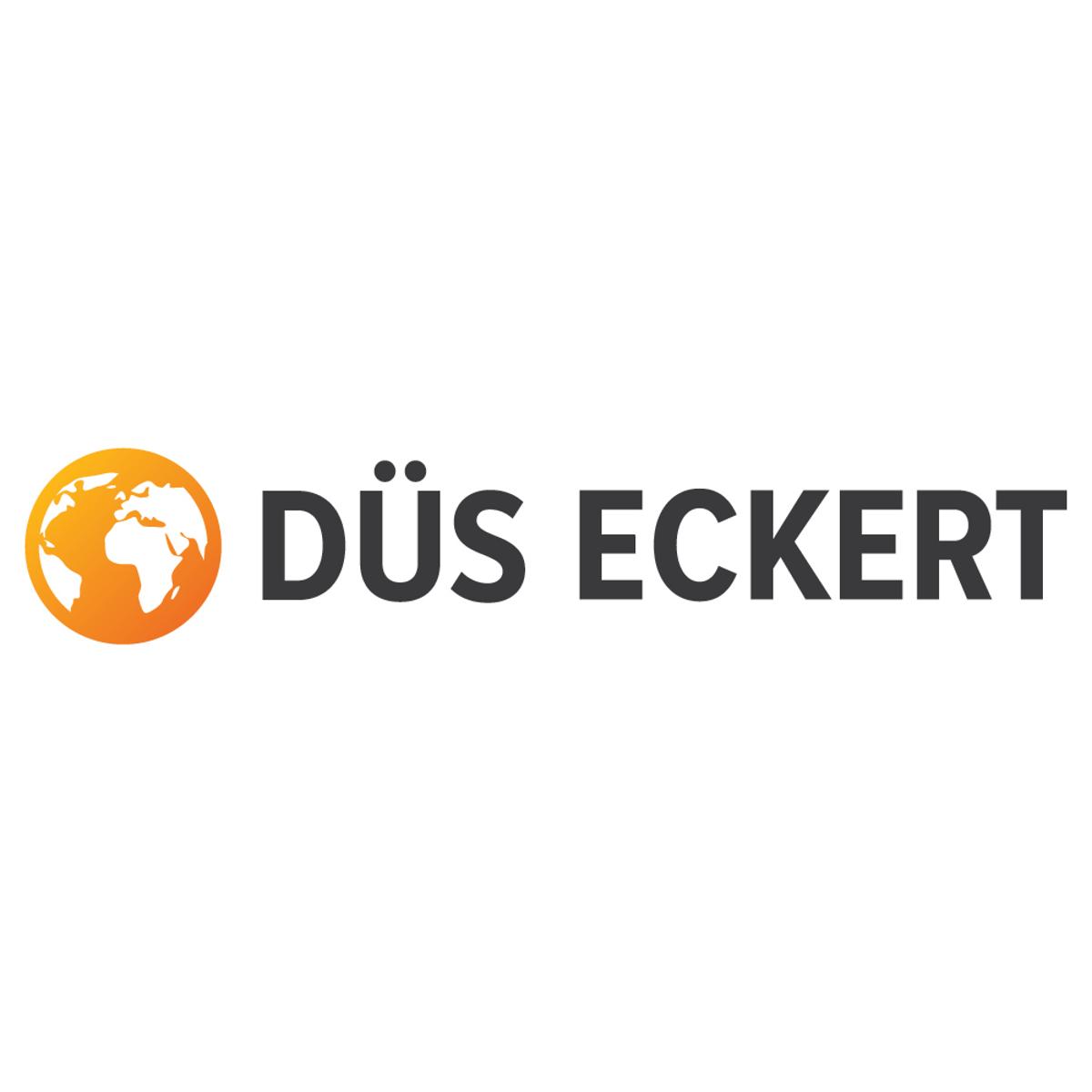 DÜS Eckert Spracheninstitut GmbH in Essen - Logo