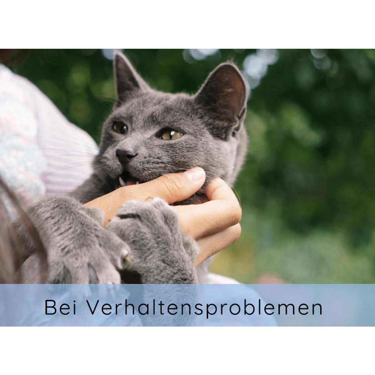 Katzenpsychologie - Katzenverhaltenstherapie - Sabine Caspary in Berlin - Logo