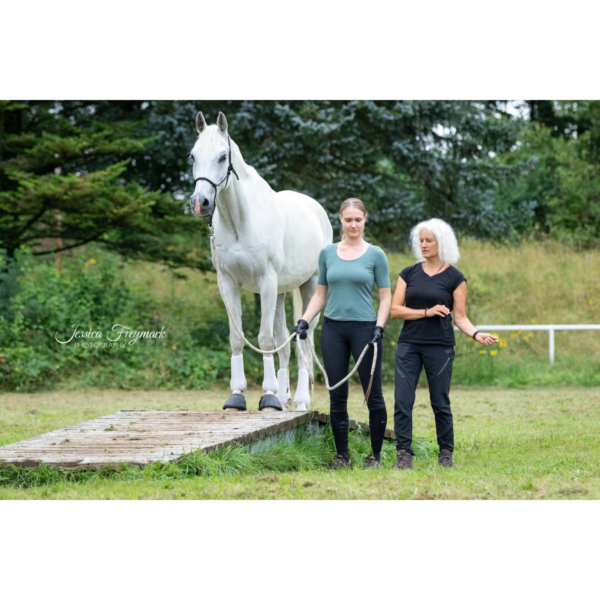 Anja Schwien Pro Ride Horsemanship Co Trainerin in Velbert - Logo