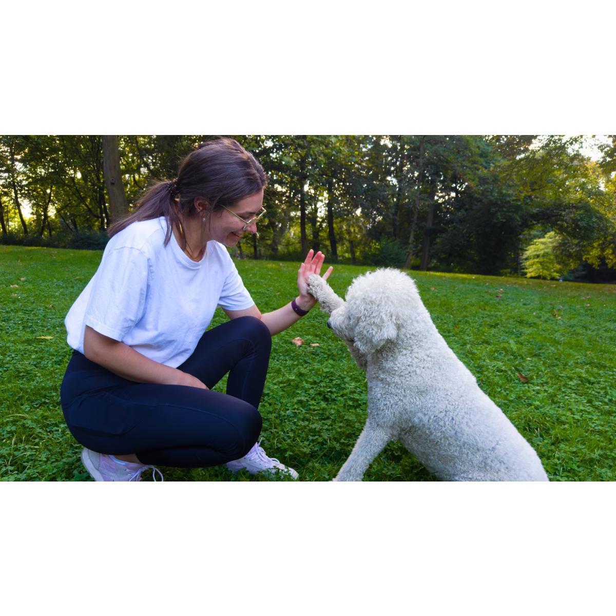 PawsomePhysio - Mobile Tierphysiotherapie für Hunde in Köln - Logo