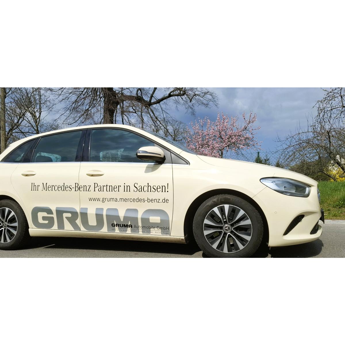 Kai Wallnisch TAXI in Strehla - Logo
