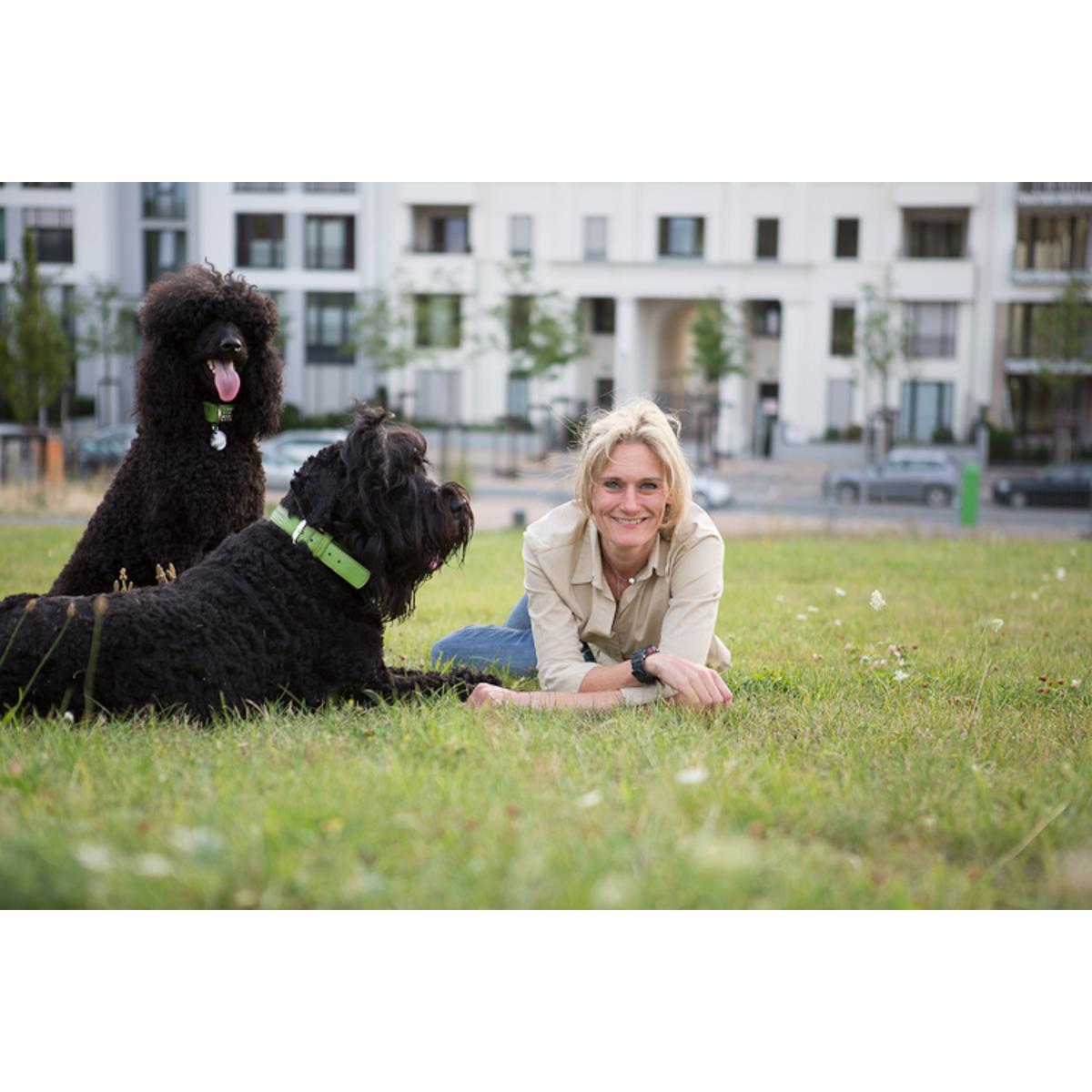 Mobile Hundeschule Düsseldorf in Düsseldorf - Logo
