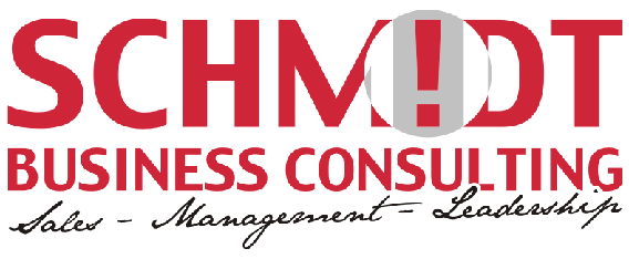 SCHMIDT BUSINESS CONSULTING in Menden im Sauerland - Logo