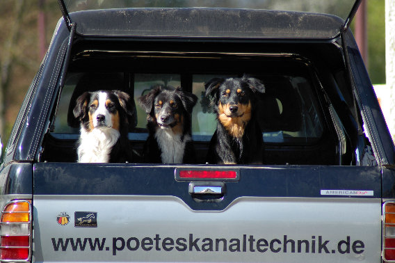 Poetes Kanaltechnik in Bad Neuenahr Stadt Bad Neuenahr Ahrweiler - Logo