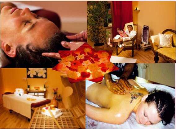 Ayurveda-Gesundheitszentrum Frangipani in Berlin - Logo