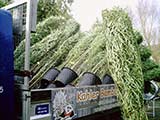 Bambusgarten in Kahl in Kahl am Main - Logo