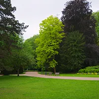 Bild zu Forstbotanischer Garten in Köln