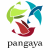 Bild zu Pangaya - Praktikum im Ausland: Asien, Australien, Afrika, Südamerika, Frankreich, Karibik in Berlin
