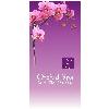 Orchidspa in Berlin - Logo