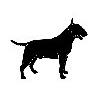 Miniatur Bullterrier in Berlin - Logo