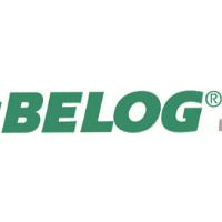 Belog Consulting in Nebringen Gemeinde Gäufelden - Logo