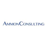 AMMONCONSULTING GmbH in Feldkirchen Kreis München - Logo