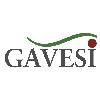 GAVESI in Dachau - Logo