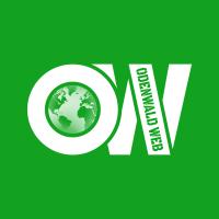 Odenwald Web in Bad König - Logo