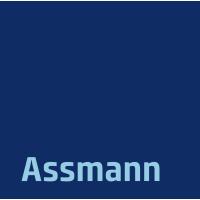 Assmann Beraten + Planen GmbH in Braunschweig - Logo