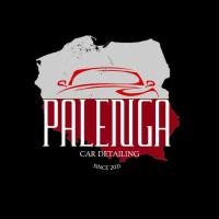 Autoaufbereitung Palenga in Dinklage - Logo