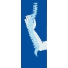 Praxis Osteopathie Schulze-Bramey in Recklinghausen - Logo