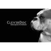CleverDoc in Backnang - Logo