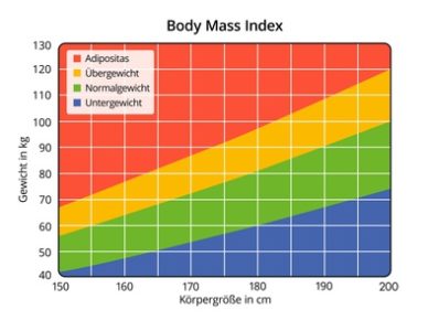 BMI - Der Body-Mass-Index